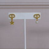 CD Earrings