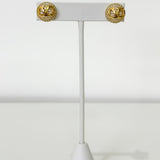 V Earrings
