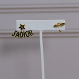 CD Earrings