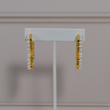 V Earrings