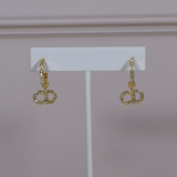 CD Earrings