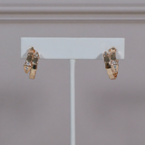BVLG Earrings