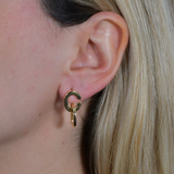 CD Earrings