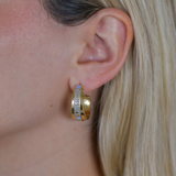 CD Earrings