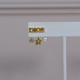 CD Earrings