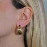 CD Earrings