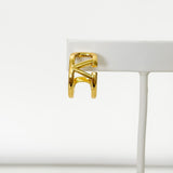 V Earrings