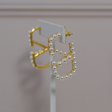 V Earrings