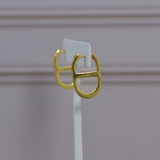 CD Earrings