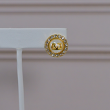V Earrings