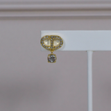 CD Earrings