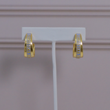 CD Earrings