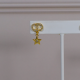 CD Earrings