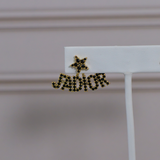 CD Earrings
