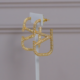 V Earrings