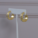 CD Earrings