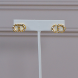 CD Earrings