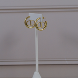 CD Earrings