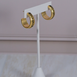 CD Earrings