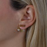 CD Earrings