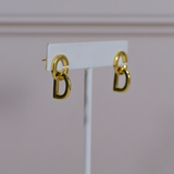 CD Earrings