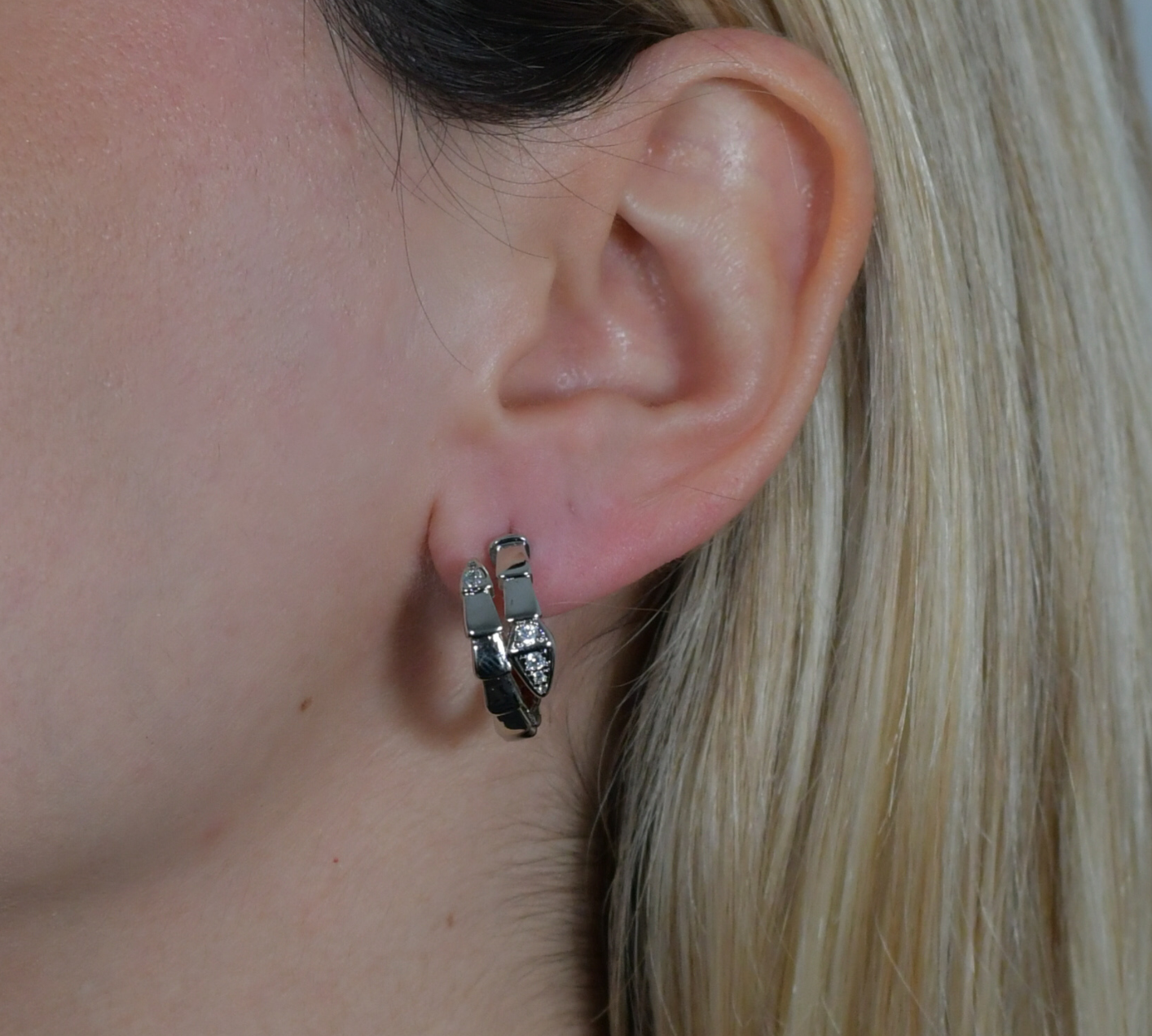 BVLG Earrings