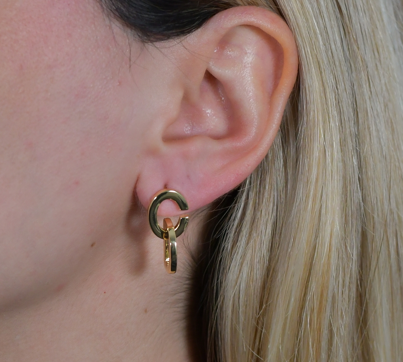CD Earrings