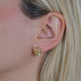 CD Earrings