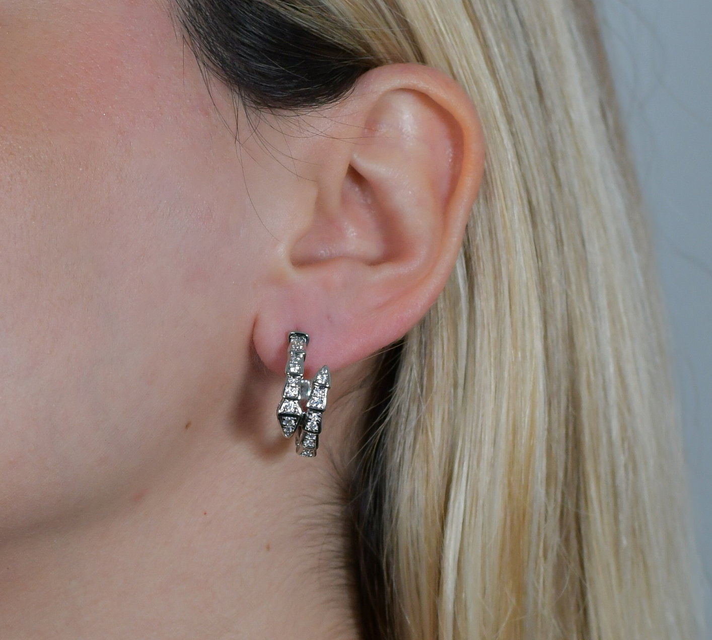 BVLG Earrings