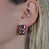 V Earrings