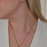 V Earrings