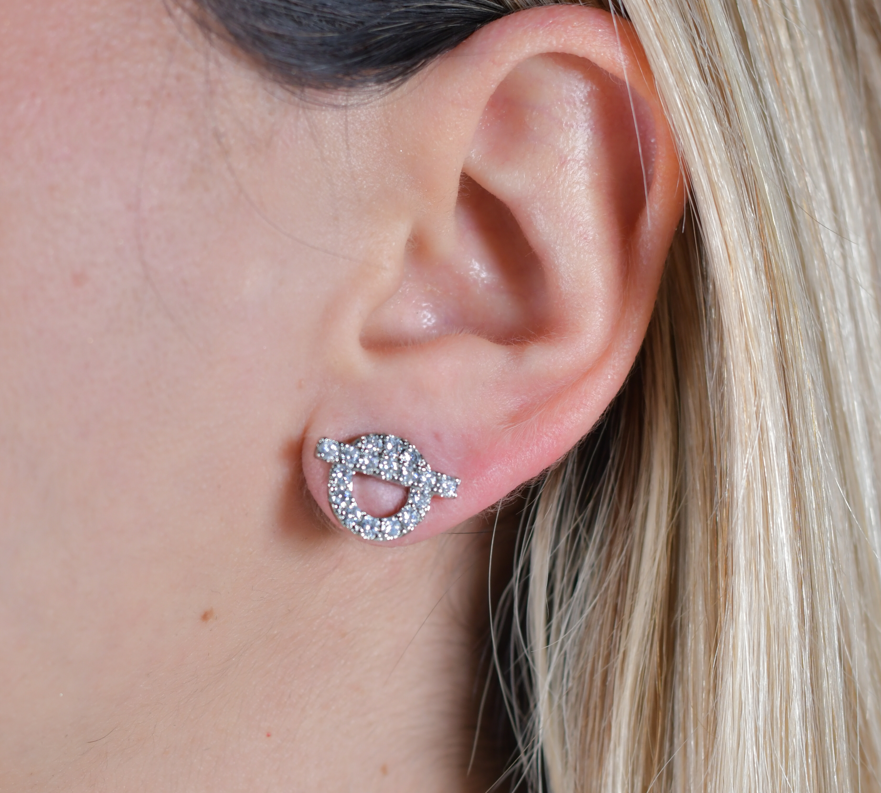 HMES Earrings