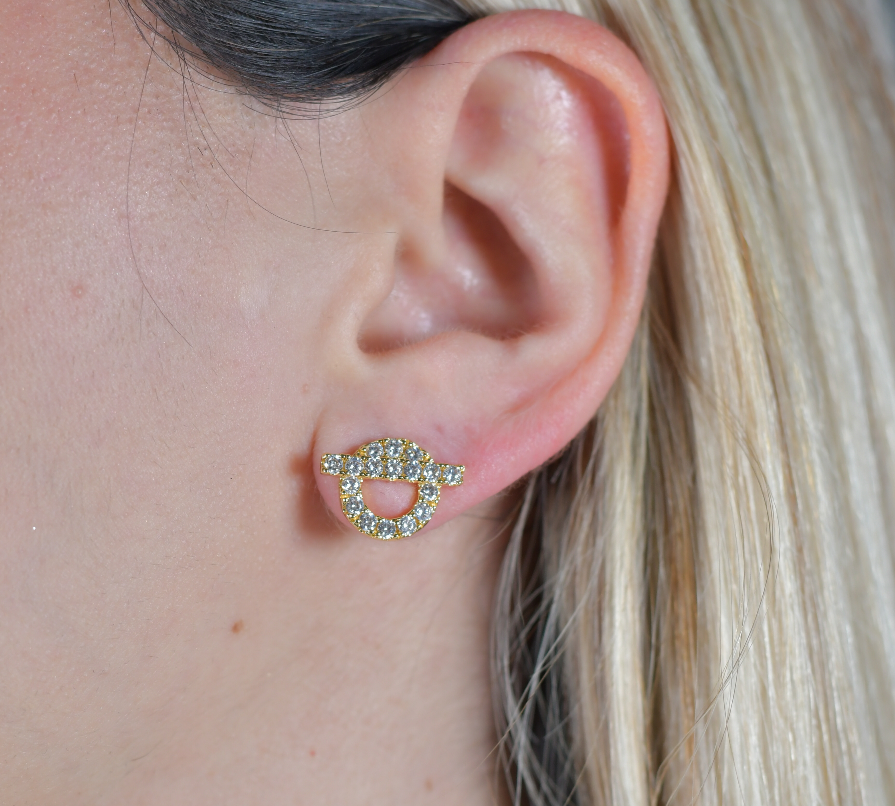 HMES Earrings