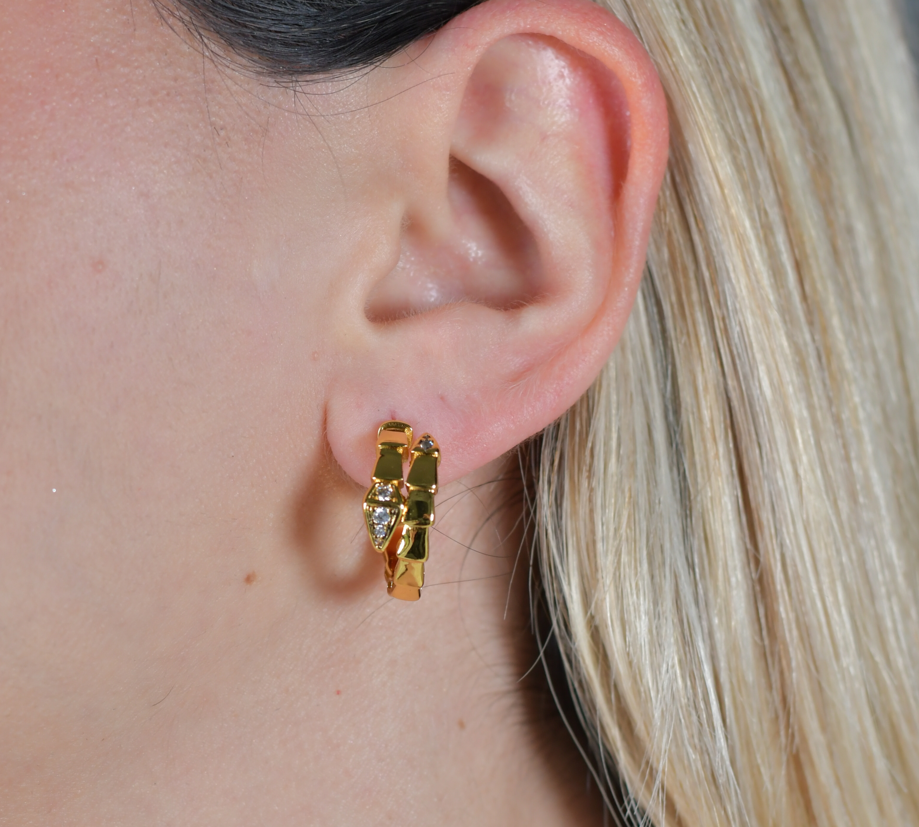 BVLG Earrings
