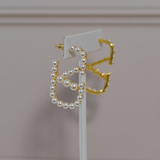 V Earrings
