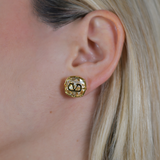 V Earrings