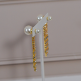 CD Earrings