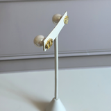 CD Earrings