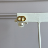 CD Earrings