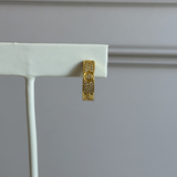 CRT Earrings