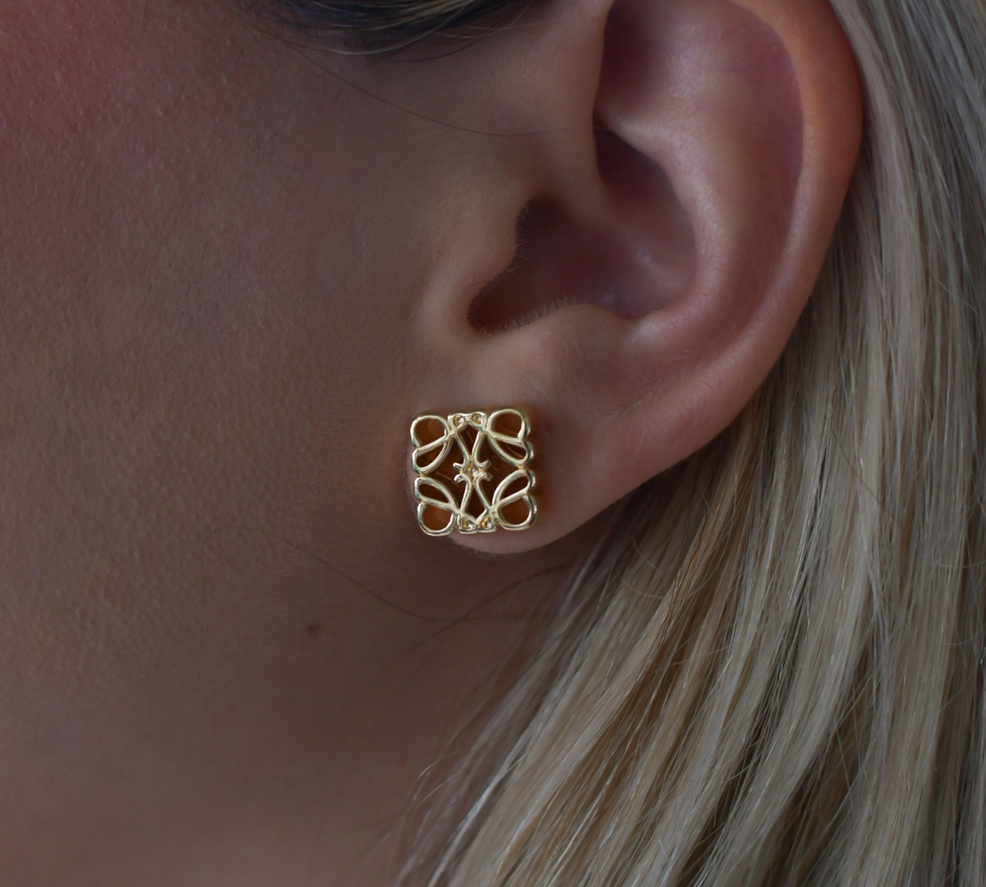 LOEWE Earrings