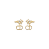 CD Earrings