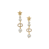 CD Earrings