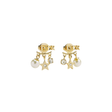 CD Earrings