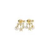 CD Earrings